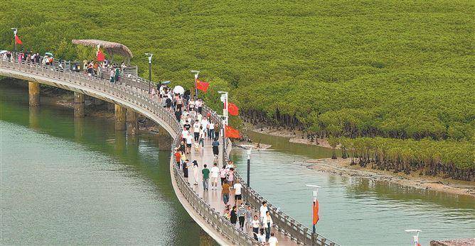 业态多元热力十足 国庆厦门文旅市场持续“圈粉”