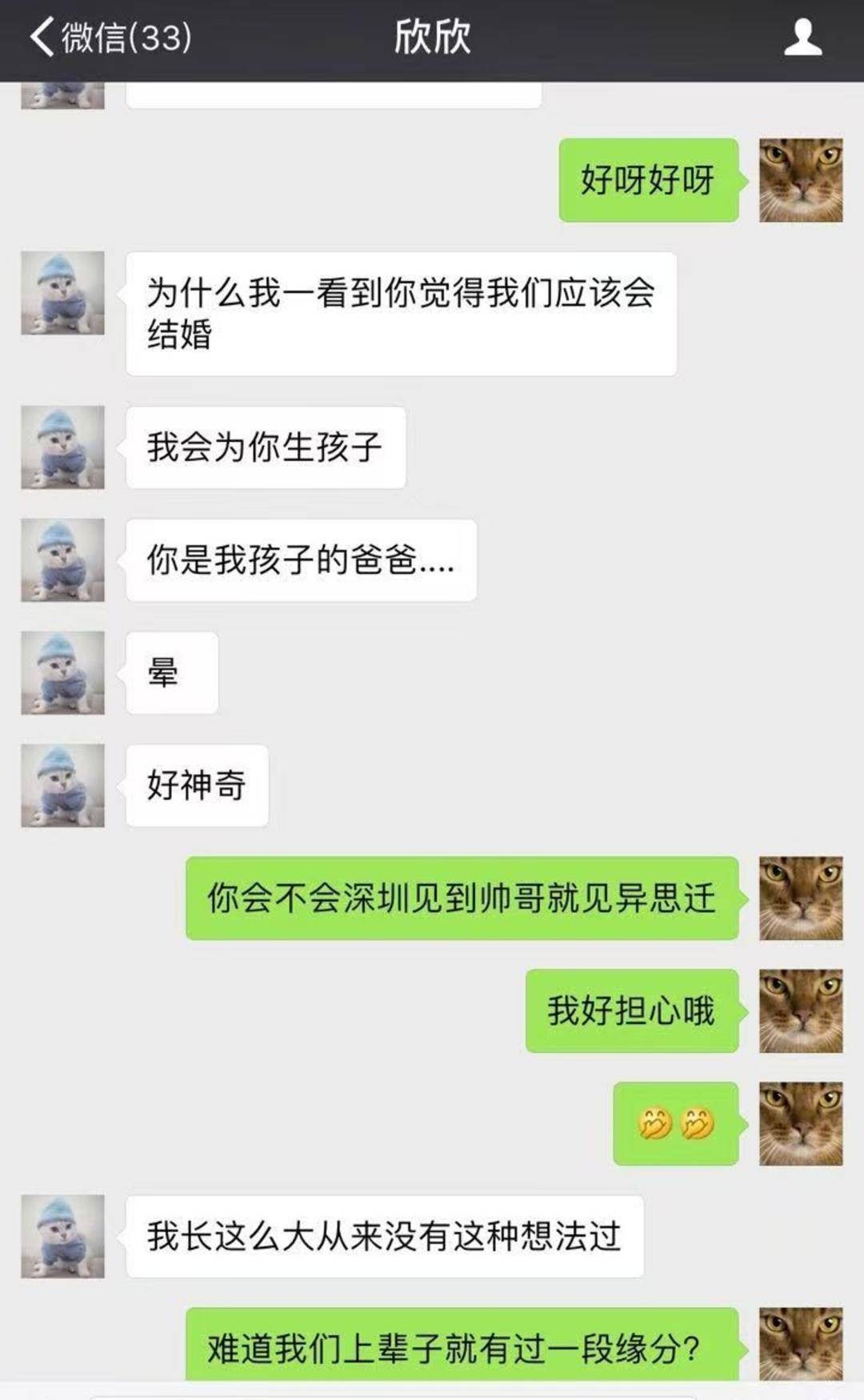 翟欣欣涉嫌敲诈勒索案明日开庭，聊天记录透露悲剧发生始末