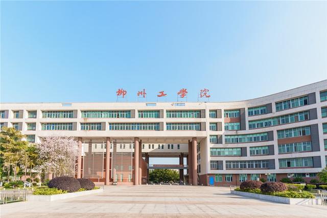 新手学院(新手学院派视频)