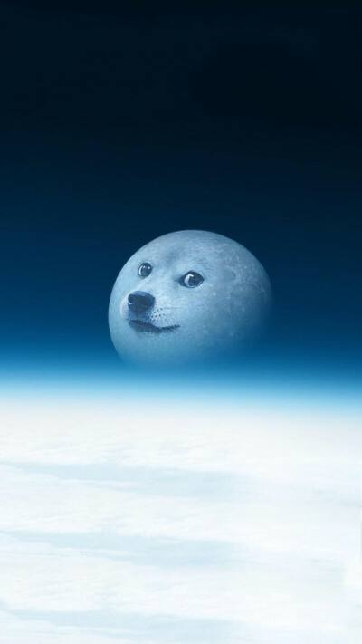 DOGE(2023狗狗币会暴涨吗)