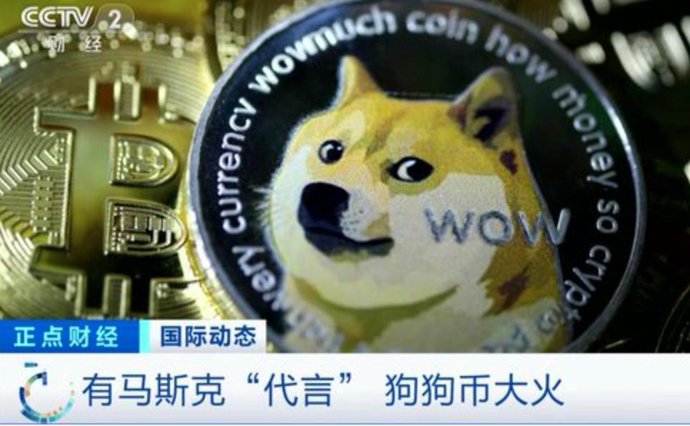 狗币(狗币今日价格行情)