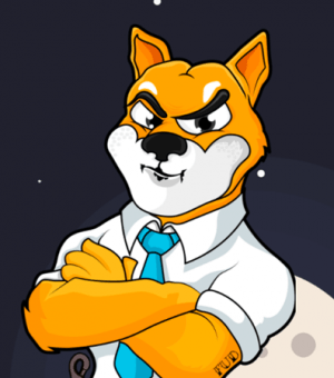 DOGECOIN(dogecoin price)