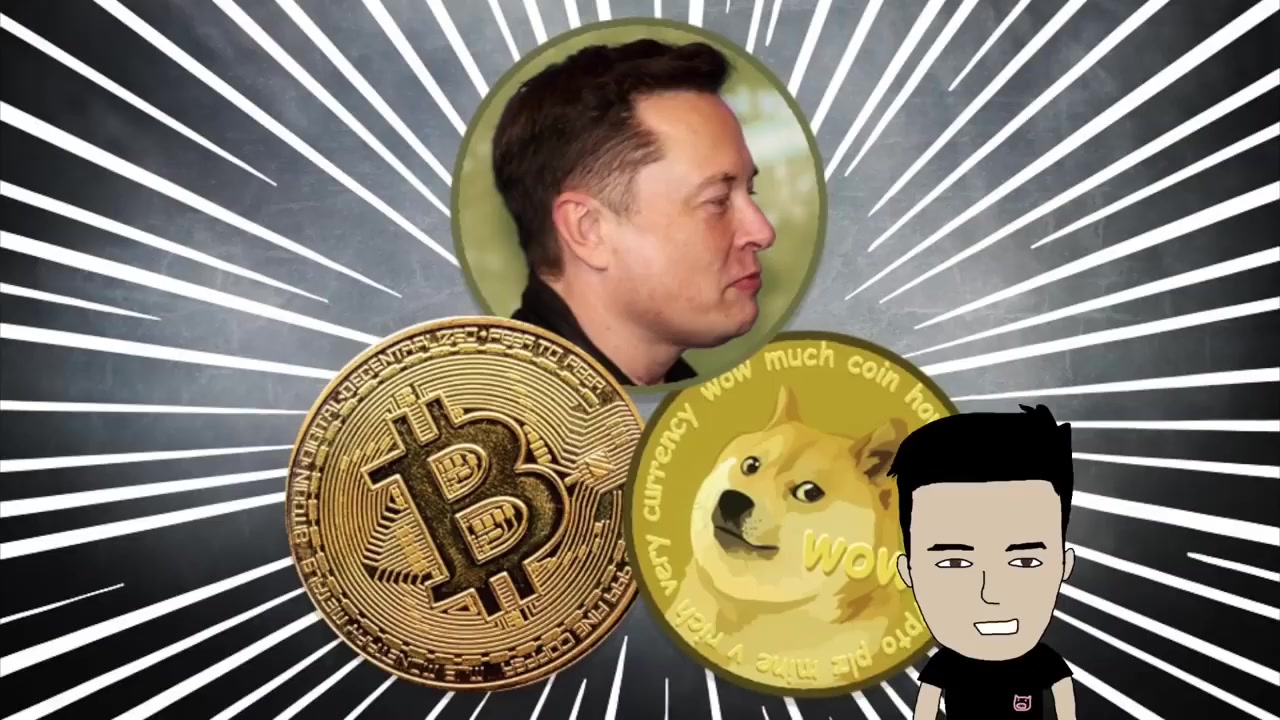 doge币行情(aidoge币行情)