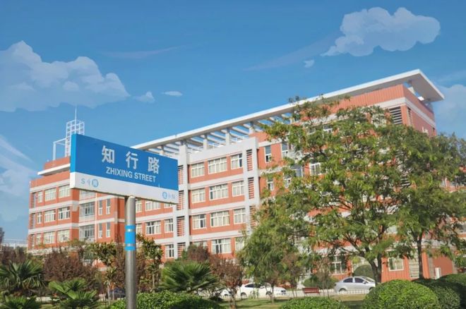 新手学院(新手怎么学股票)