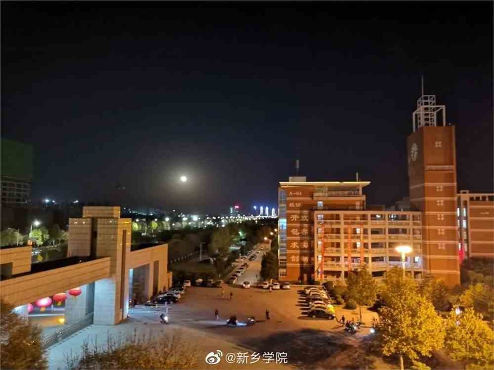 新手学院(新手怎样学)