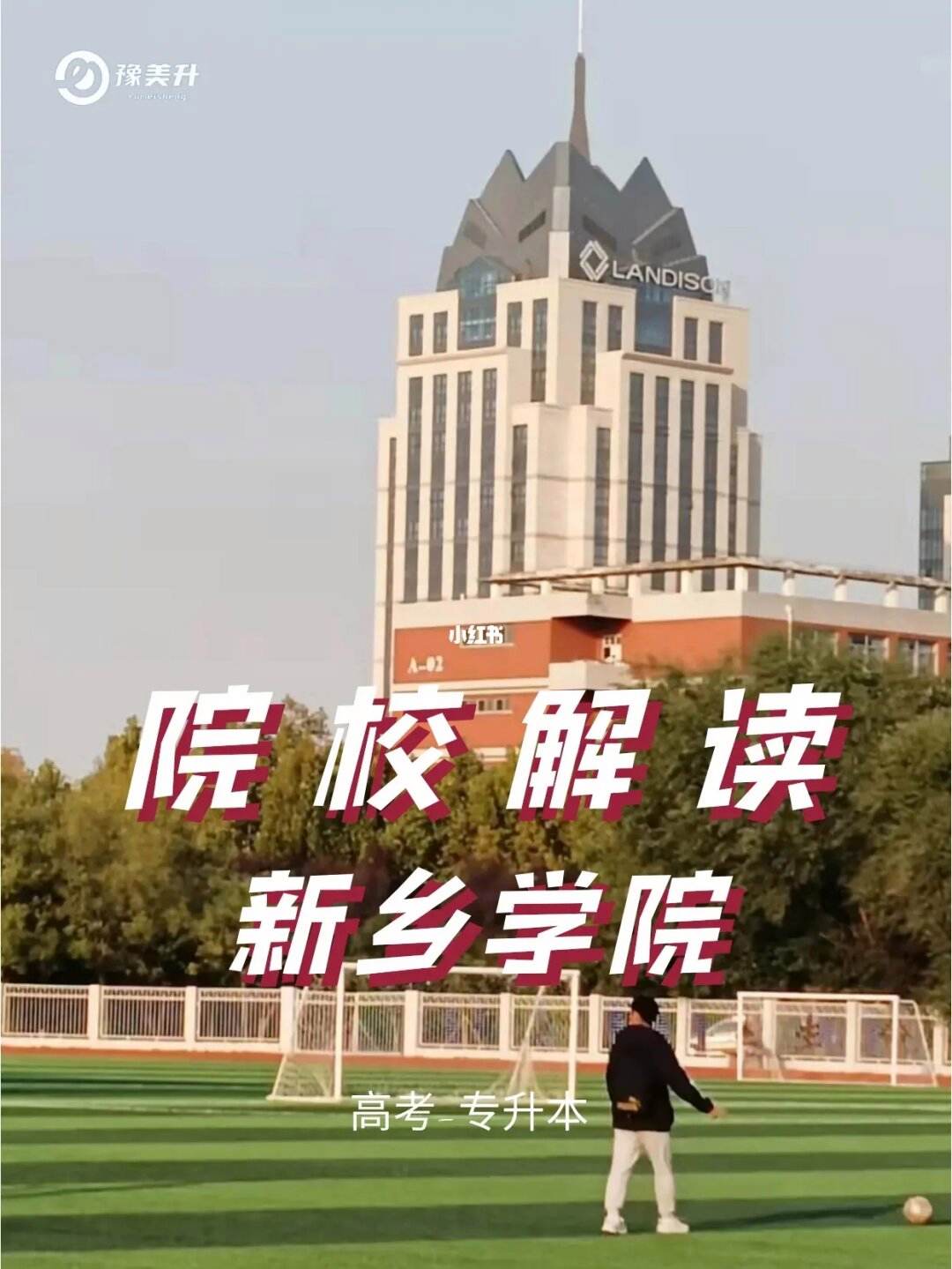 新手学院(新手怎样学)