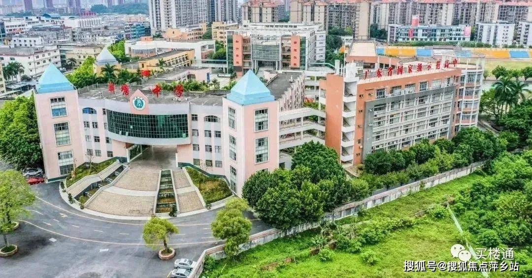万致外汇官网(万致外汇在国内合法吗)