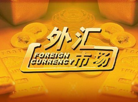 公司付外汇(公司付外汇需要什么资料)