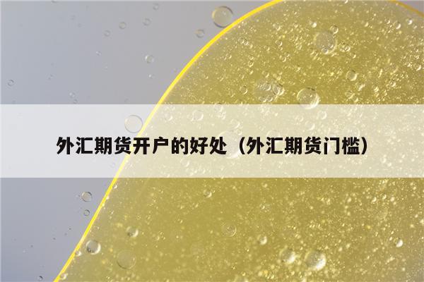 外汇的优点(外汇的好处和坏处)