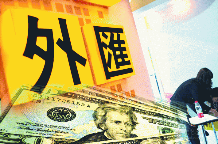国家对外汇的政策(对外汇政策需求和意见)