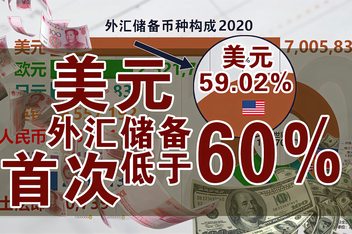 外汇储备的构成(外汇储备的构成究竟有哪些)