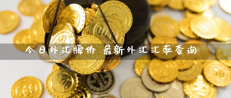 期货外汇直播(期货外汇直播间)