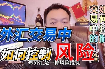 投资外汇风险(外汇投资的收益和风险特征)