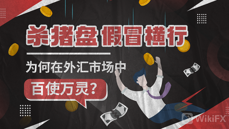 曝光的外汇(十大靠谱的外汇平台)