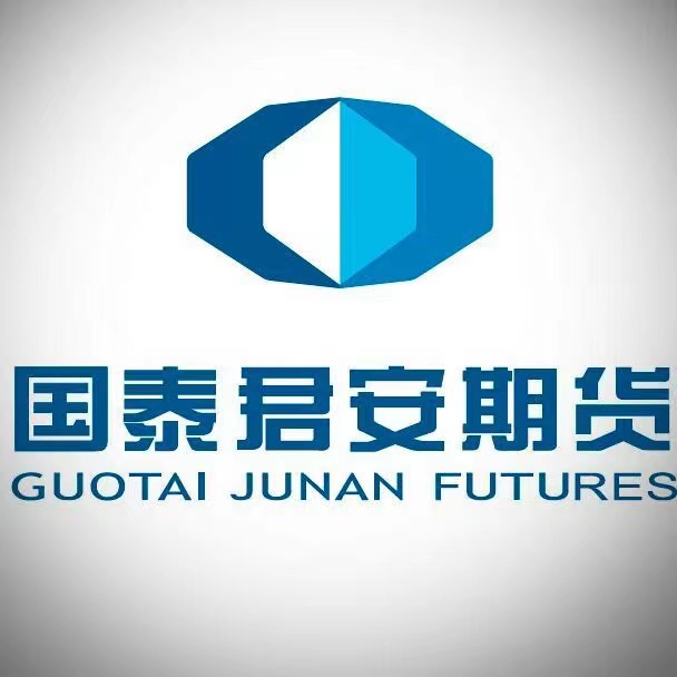 国泰君安外汇(国泰君安外汇怎么开通)