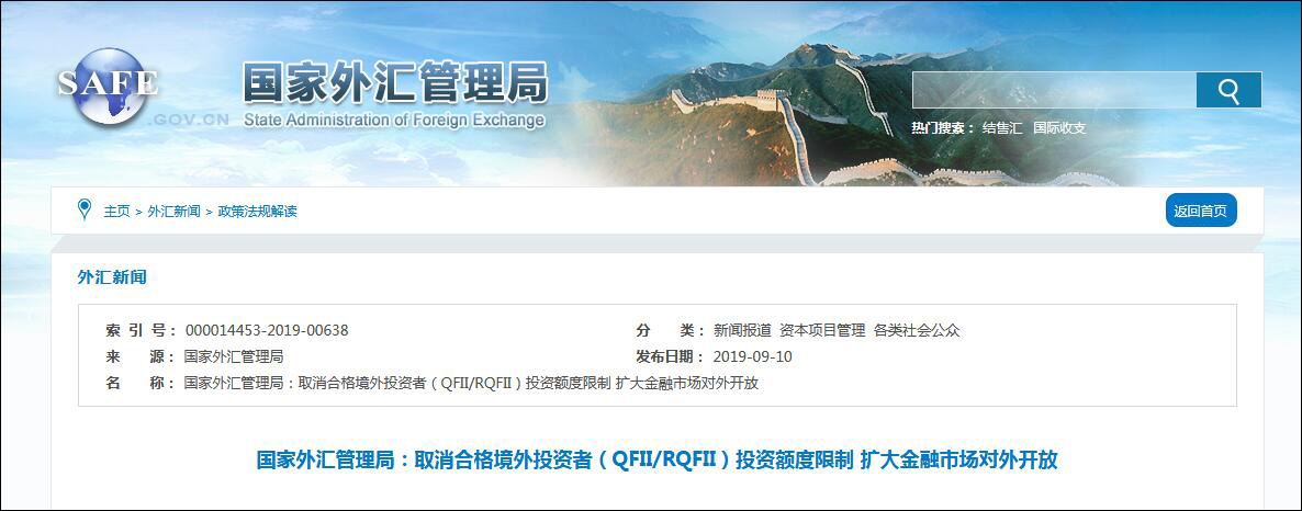 国际外汇管理(国际外汇管理局网站)