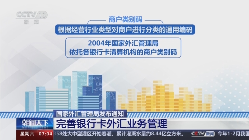 外汇局网上服务平台(外汇局网上服务平台app)