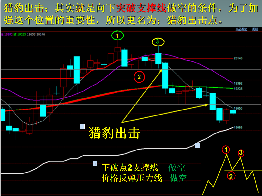 外汇均线怎么看(外汇均线怎么设置)