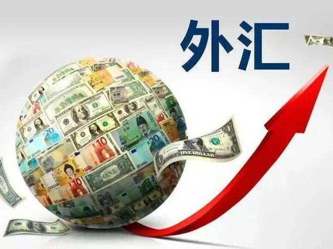 外汇兑换器(外汇兑换器 中国银行可以用吗)