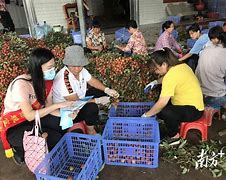 广州市外汇管理局(广州市外汇管理局 李志胜)