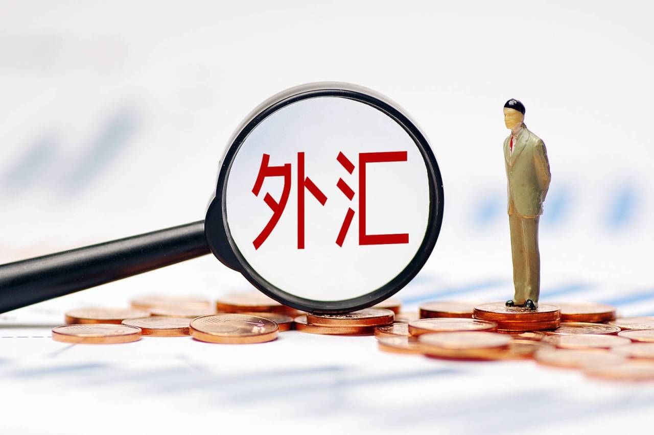 外汇额度查询(外汇额度是什么意思)