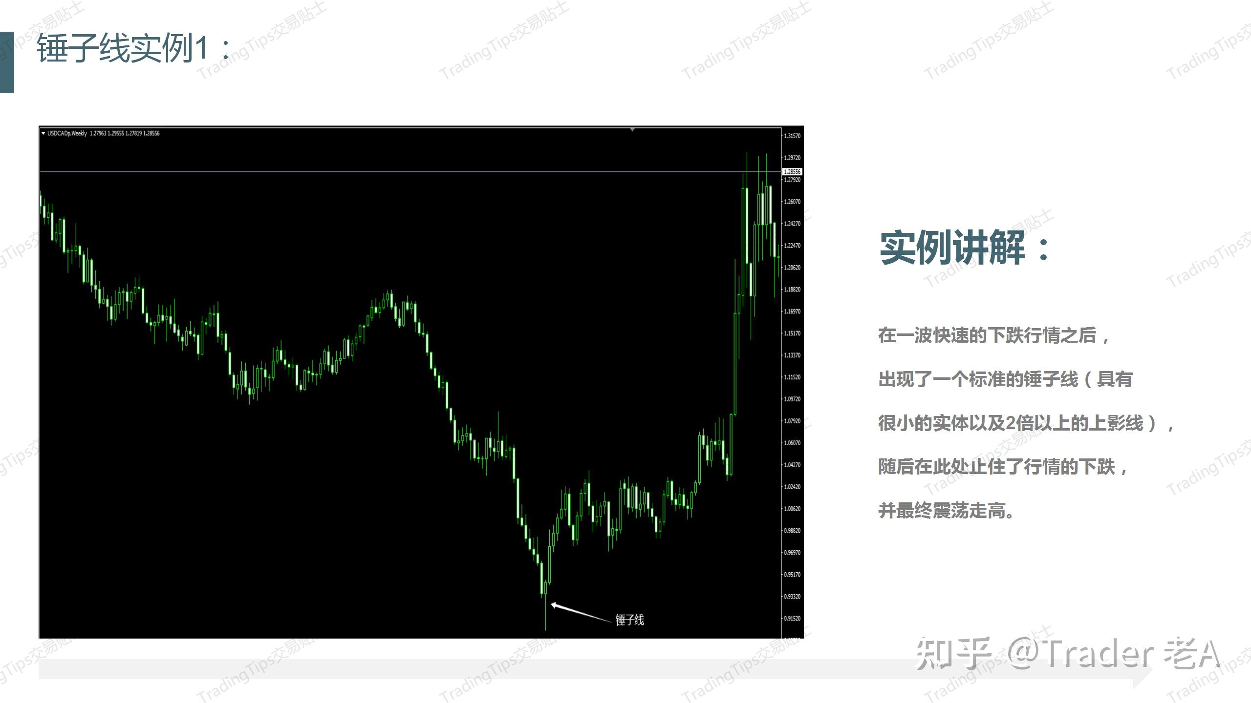 外汇锤子(外汇仔视频)