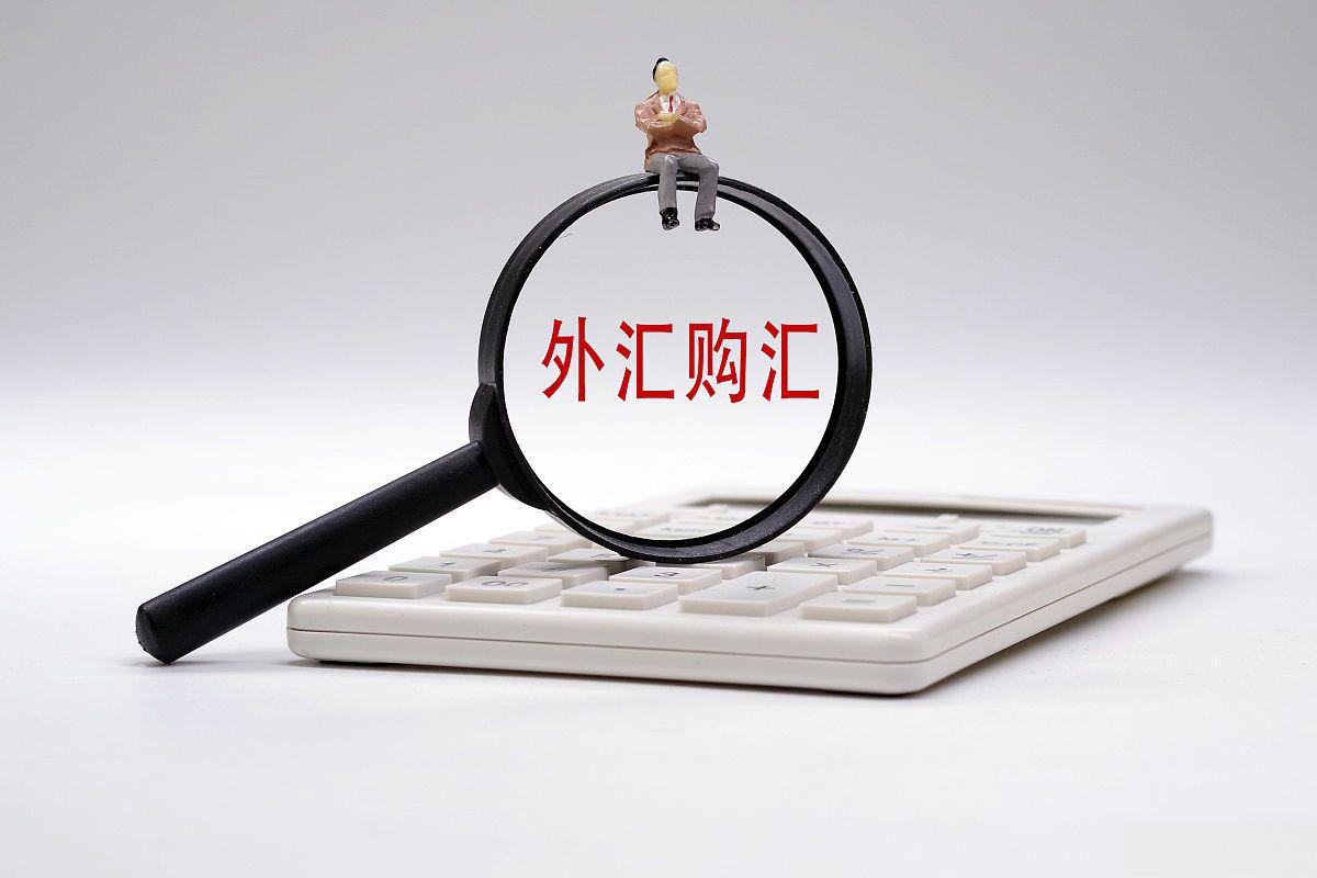 外汇出入金(外汇出入金如何防止银行卡冻结)