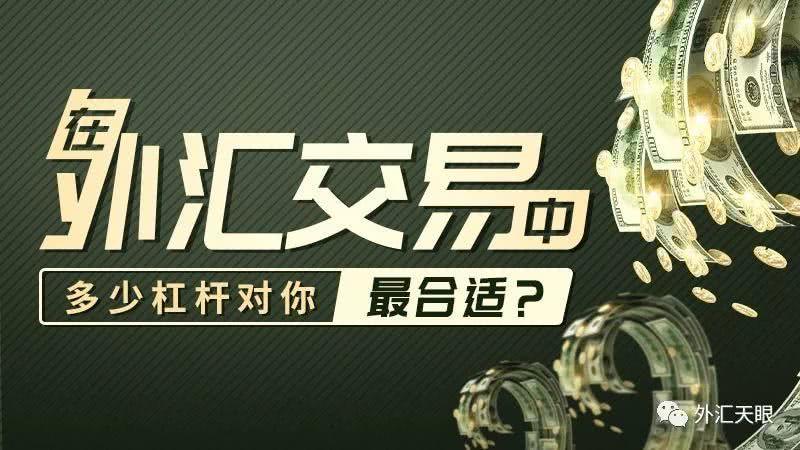 中外汇(中外汇通,德才兼备)