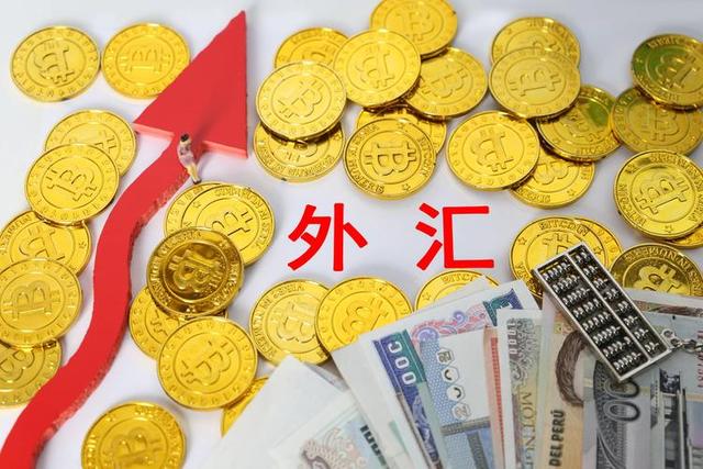 为什么投资外汇(投资外汇有风险吗?)