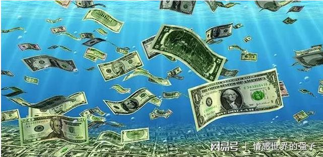 外汇流出(外汇流出记借方)