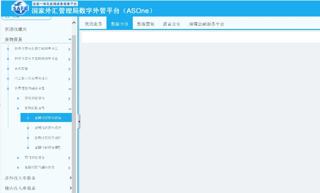 外汇申报网站(外汇申报网上服务平台)