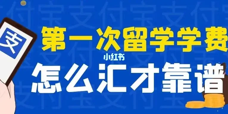 留学生外汇(留学生外汇规定解读)