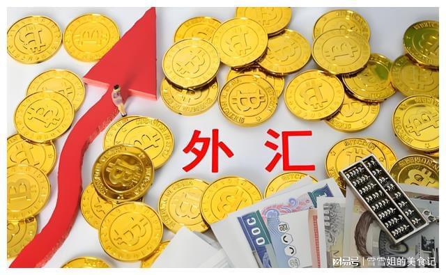 外汇储备投资(外汇储备投资方式)