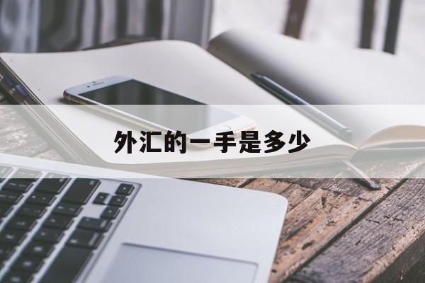 外汇的一手是多少(外汇一手是多少美元)
